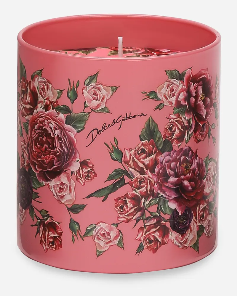 Dolce & Gabbana Duftkerze - Moschusrose - Kerzen Im Glas Mehrfarbig Mehrfarbig