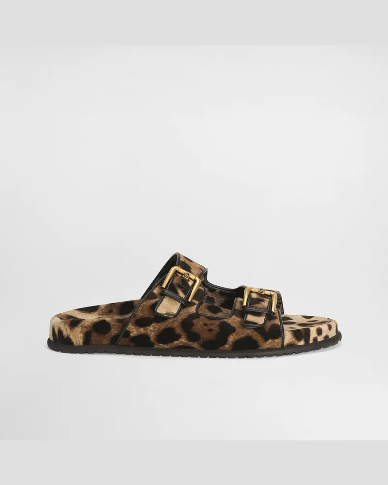 Dolce & Gabbana Pantolette Aus Bedrucktem Samt - Frau Pantoletten Und Mules Animalprint Drucken