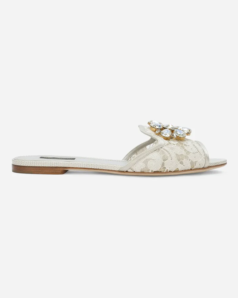 Dolce & Gabbana Pantolette Rainbow Aus Spitze Mit Brosche - Frau Pantoletten Und Mules Grau Grau