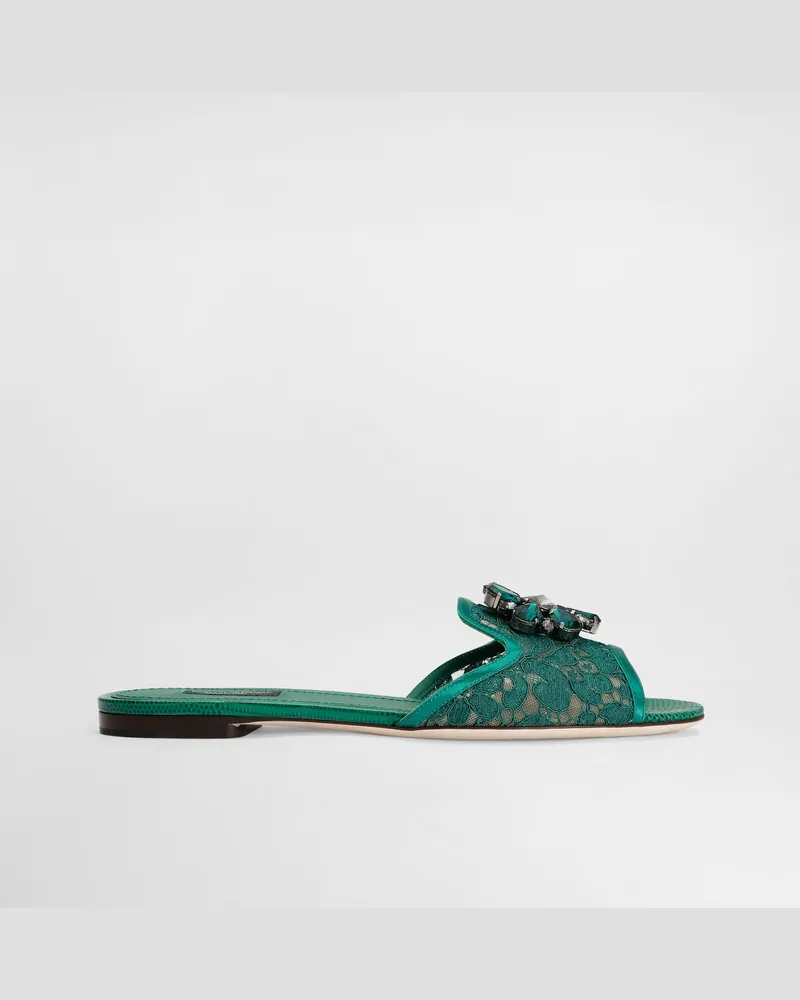 Dolce & Gabbana Sandale Aus Spitze Mit Kristallen - Frau Pantoletten Und Mules Grün Grün