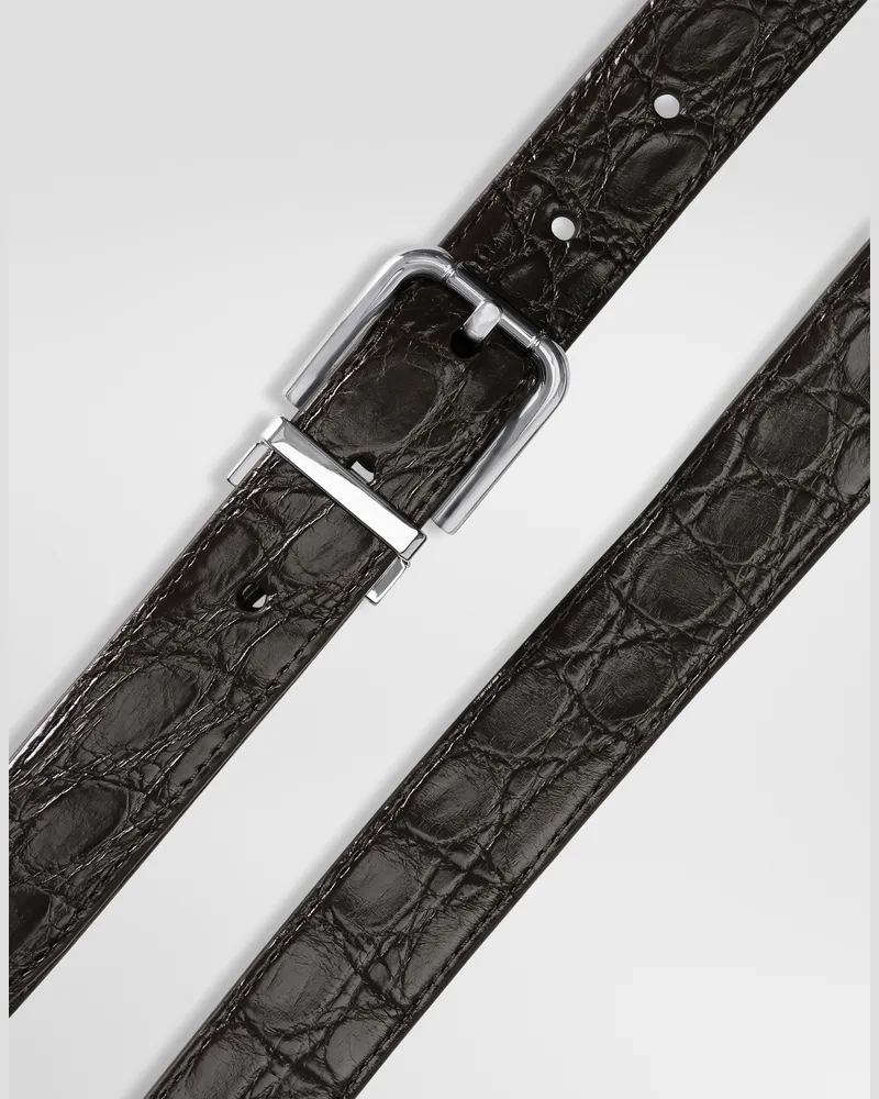 Dolce & Gabbana Gürtel Aus Kaimanleder - Mann Collection Braun Braun