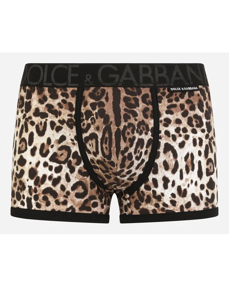 Dolce & Gabbana Regular Boxer Animal Print