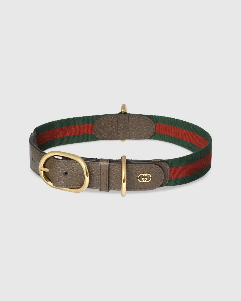 Gucci Halsband Für Große/sehr Große Haustiere, Größe Braun