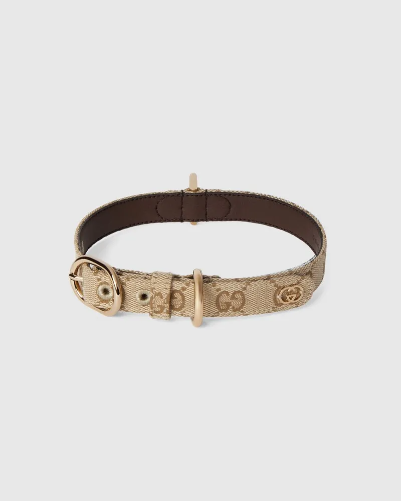 Gucci Halsband für Kleine/mittelgroße Haustiere, Größe Beige