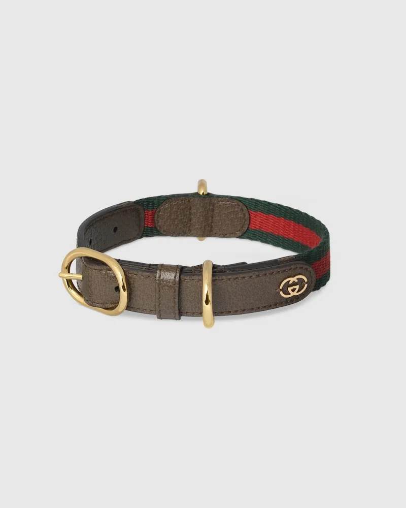 Gucci Halsband Für Kleine/mittelgroße Haustiere, Größe Braun