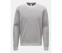 Frottee Rundhals-Sweatshirt grau