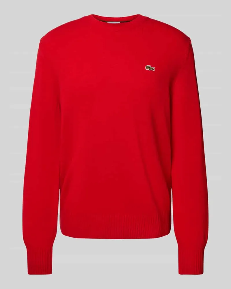 Lacoste Regular Fit Strickpullover aus reiner Wolle Rot