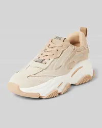 Steve Madden Chunky Sneaker mit Label-Applikationen Modell 'PARK AVE Beige