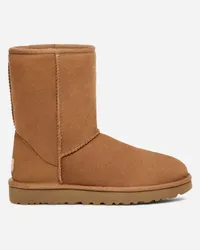 UGG Classic Short Chestnut