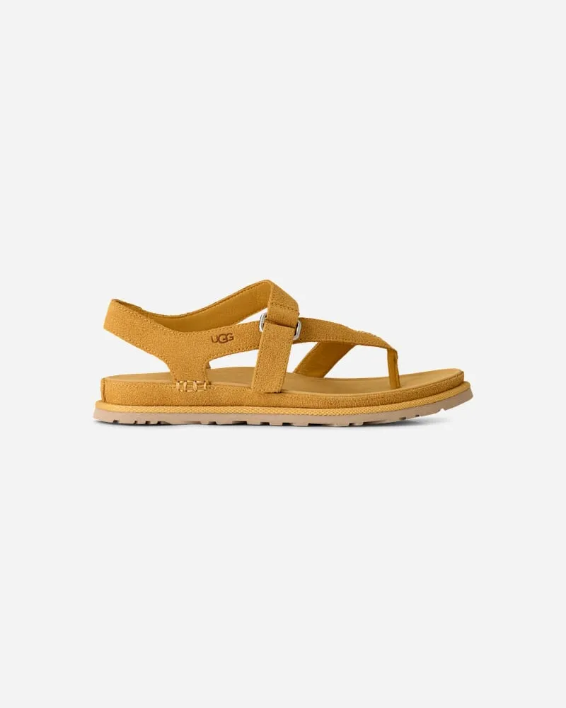 UGG GoldenGaze Zehentrenner-Sandale für Damen in Wheat Field, Größe Wildleder Wheat