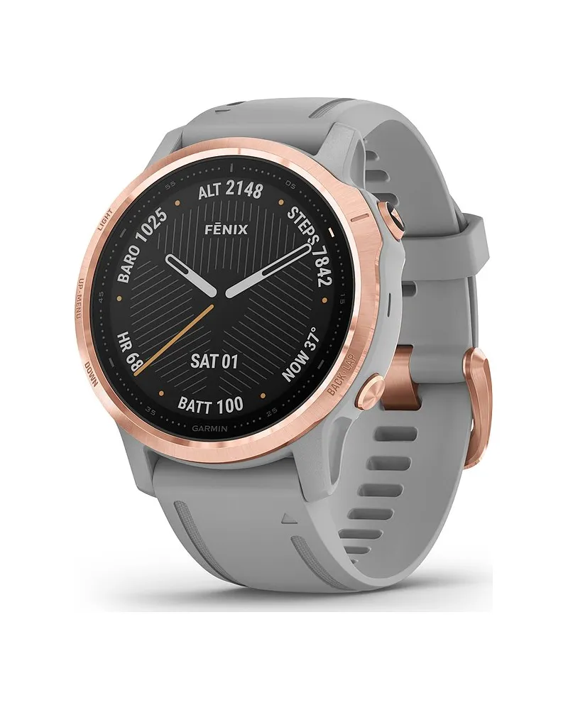 Garmin Smartwatch Fenix 6S Grau