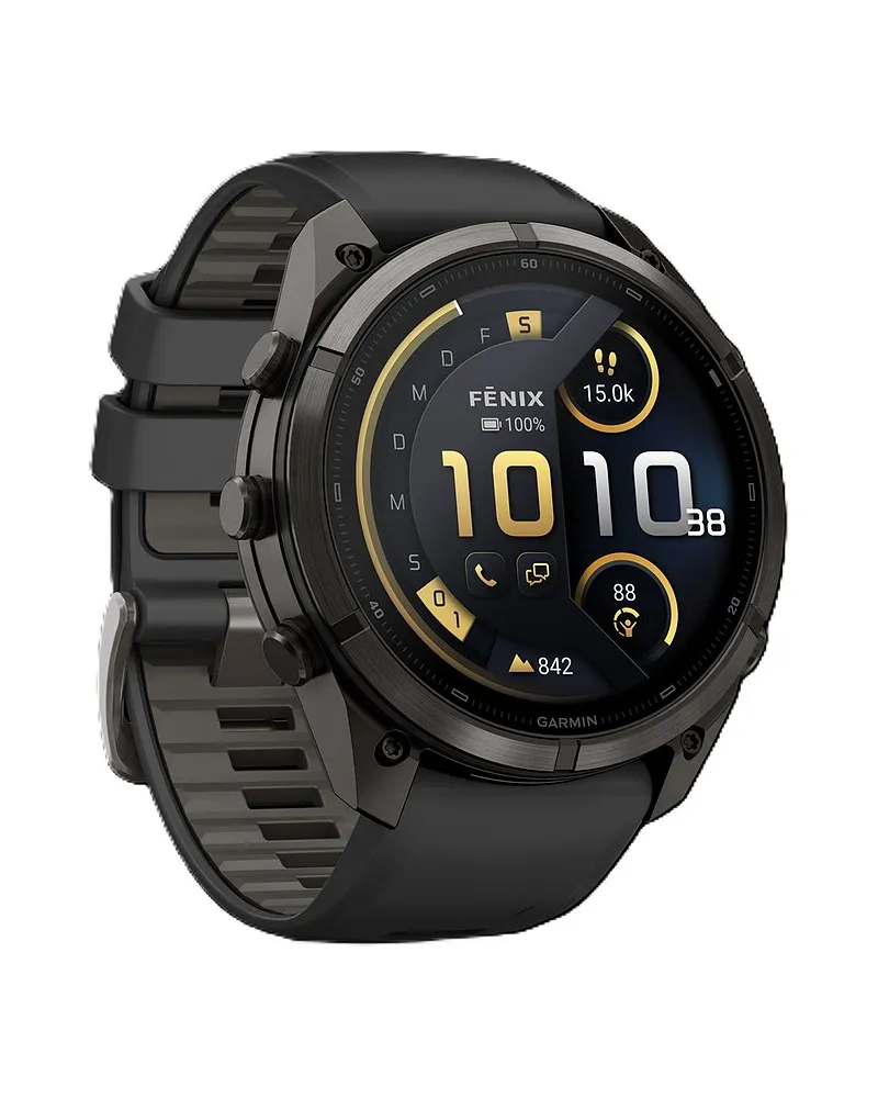 Garmin Smartwatch Fenix Grau