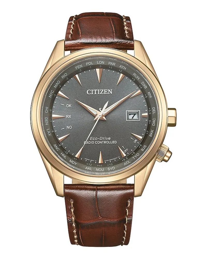 Citizen Herrenuhr Funkuhr Gold