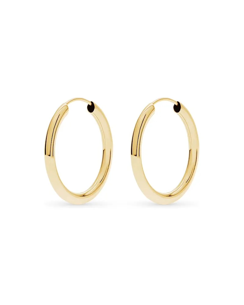 FAVS. Creolen Gold