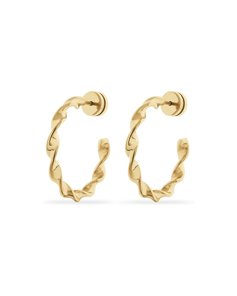 FAVS. Creolen Gold