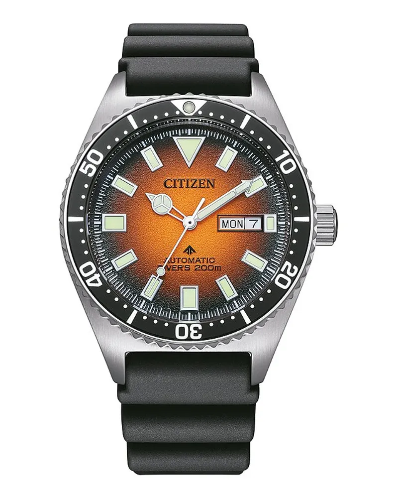 Citizen Herrenuhr Promaster Silber