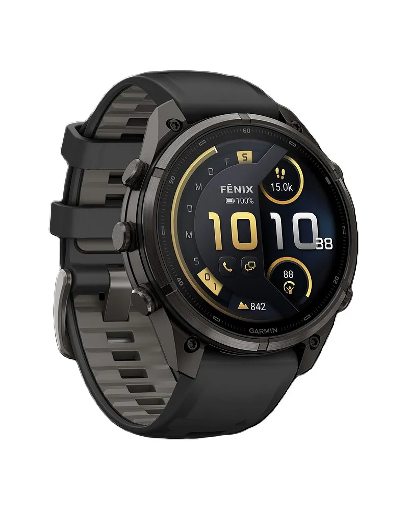 Garmin Smartwatch Fenix Grau