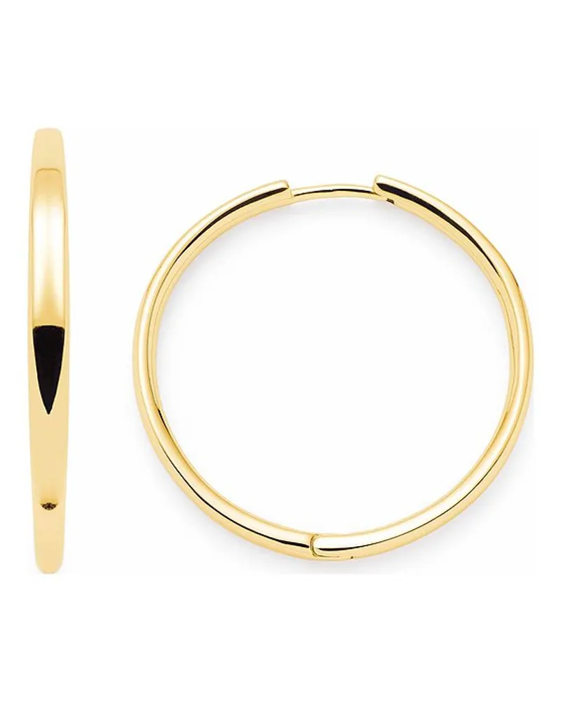 Leonardo Creolen Gold