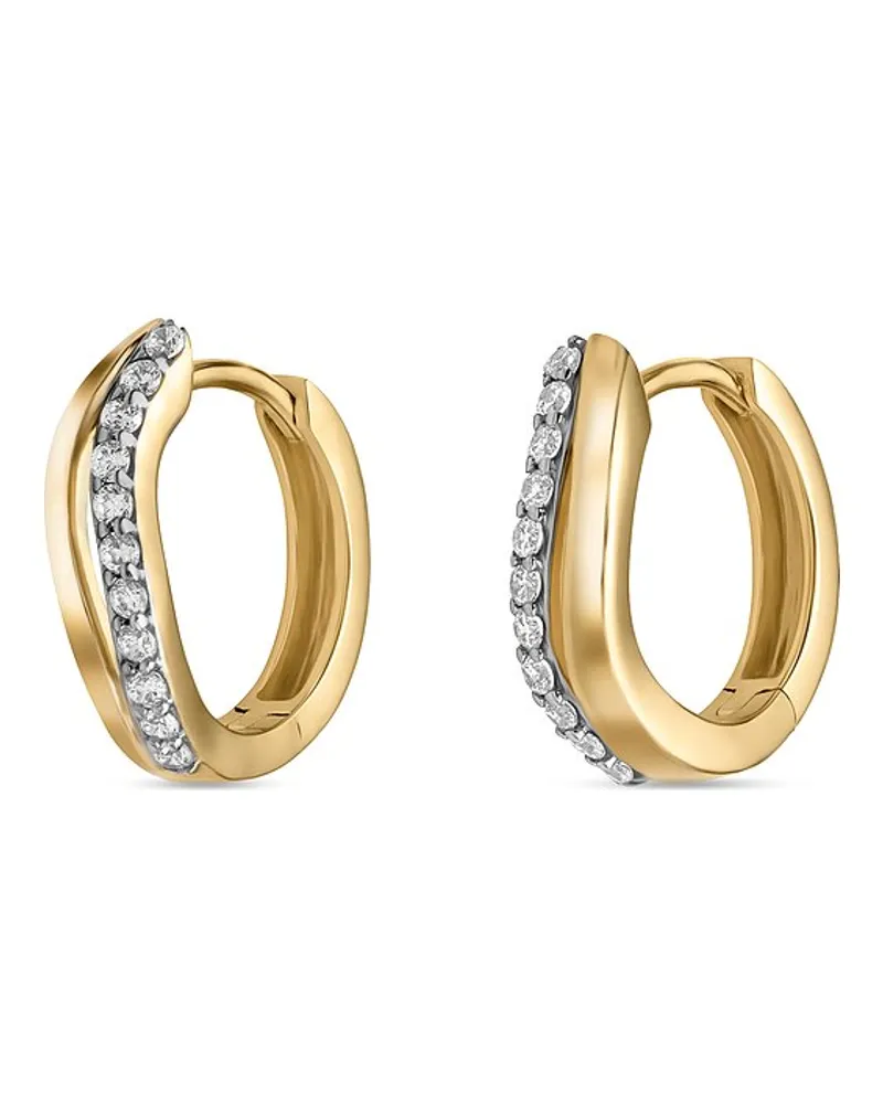 FAVS. Creolen Bicolor