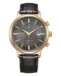 Citizen Chronograph Chronograph Gold