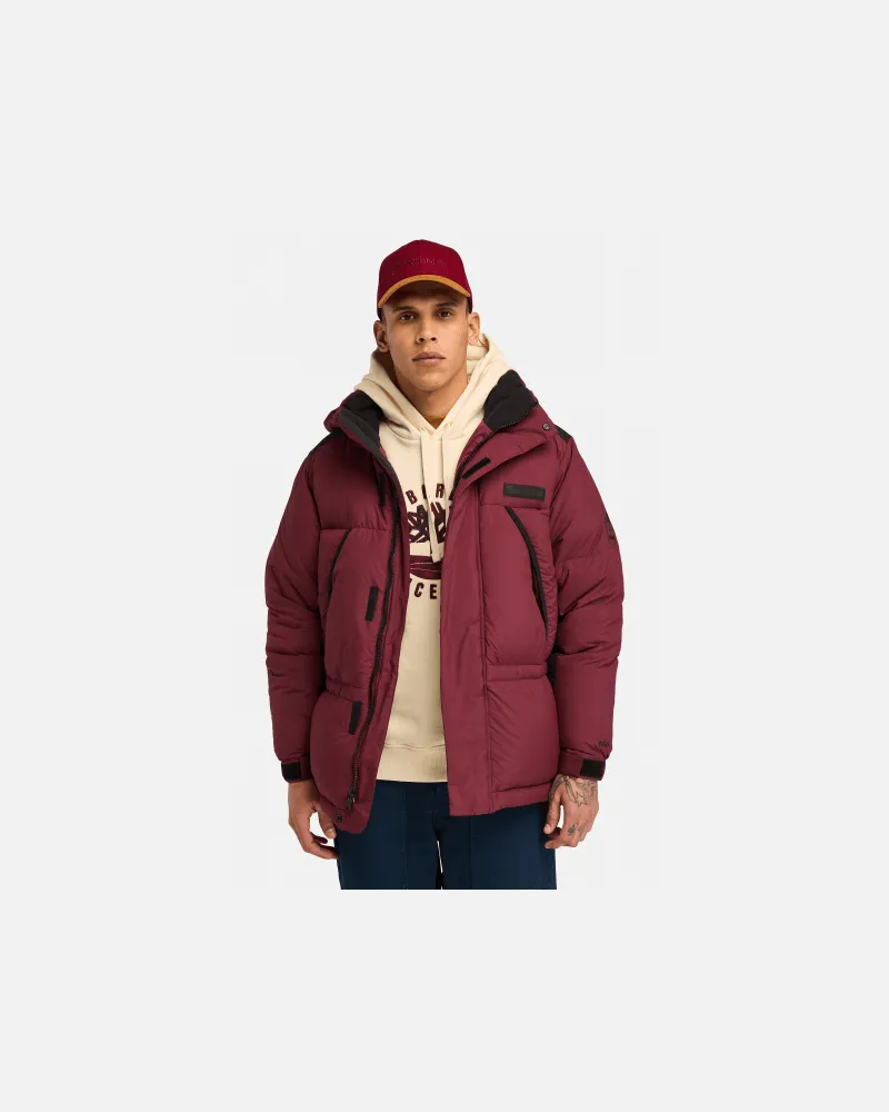 Timberland recycled down Howker Steppjacke für Herren in Rot, Herren, Rot, Größe Rot