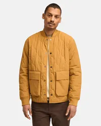 Timberland Steppjacke für Herren in , Mann Gelb