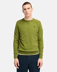 Timberland Williams River Pullover aus Baumwolle mit Raglanärmeln für Herren in , Mann Grün