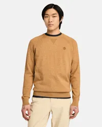 Timberland Williams River Pullover aus Baumwolle mit Raglanärmeln für Herren in Hell, Mann Gelb