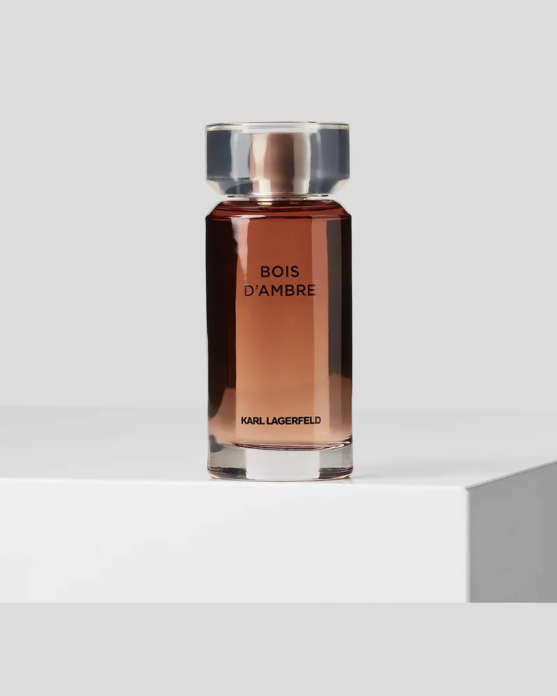 Karl Lagerfeld Bois D'ambre (bernsteinholz), Les Parfums Matières, 100 Ml, Herren, Sand, Größe Sand
