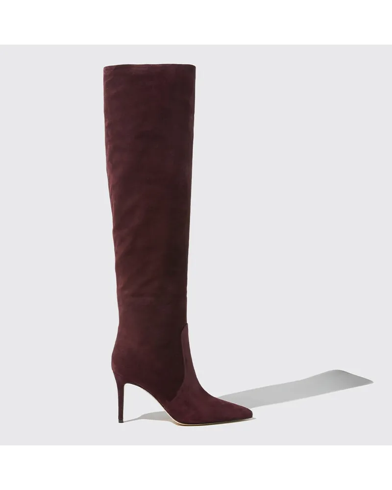 Scarosso Carra Burgundy Suede Bordeaux