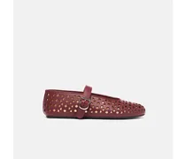 Evelyn Bordeaux - Frau Ballerinas Bordeaux - Kalbsleder