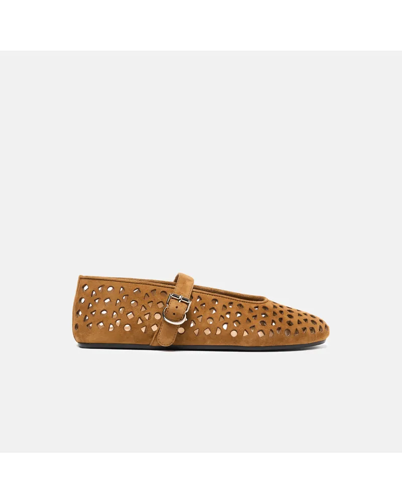 Scarosso Evelyn Tabak Wildleder - Frau Ballerinas Tabak - Wildleder Tabak