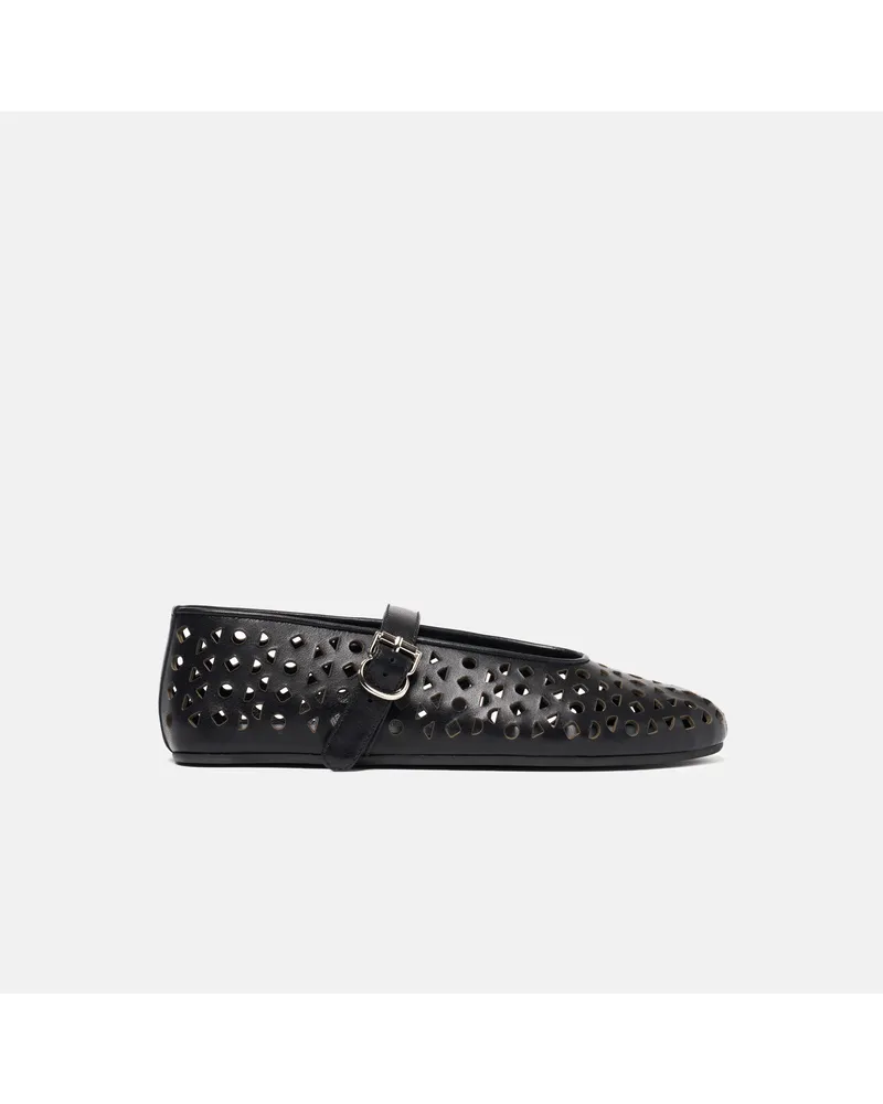 Scarosso Evelyn Schwarz - Frau Ballerinas Schwarz - Kalbsleder Schwarz