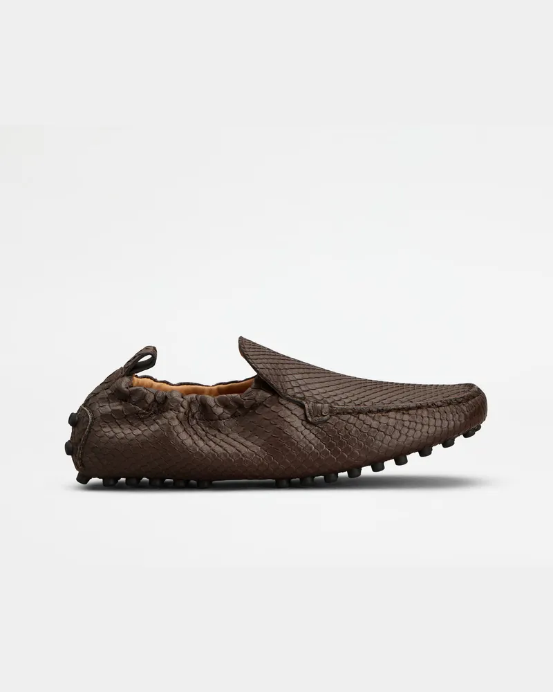 TOD'S Mokassins Gommino Glove aus Pythonleder, BRAUN Shoes Braun