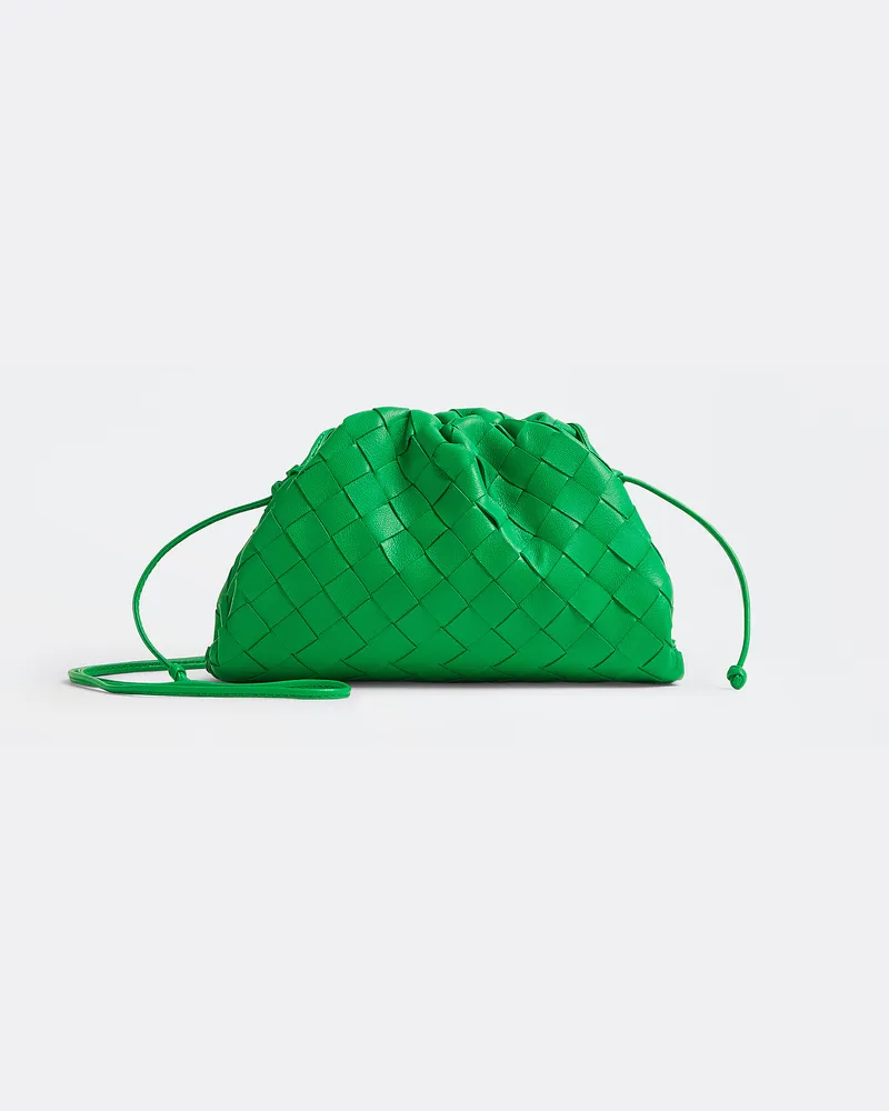 Bottega Veneta Mini Poch Parakeet