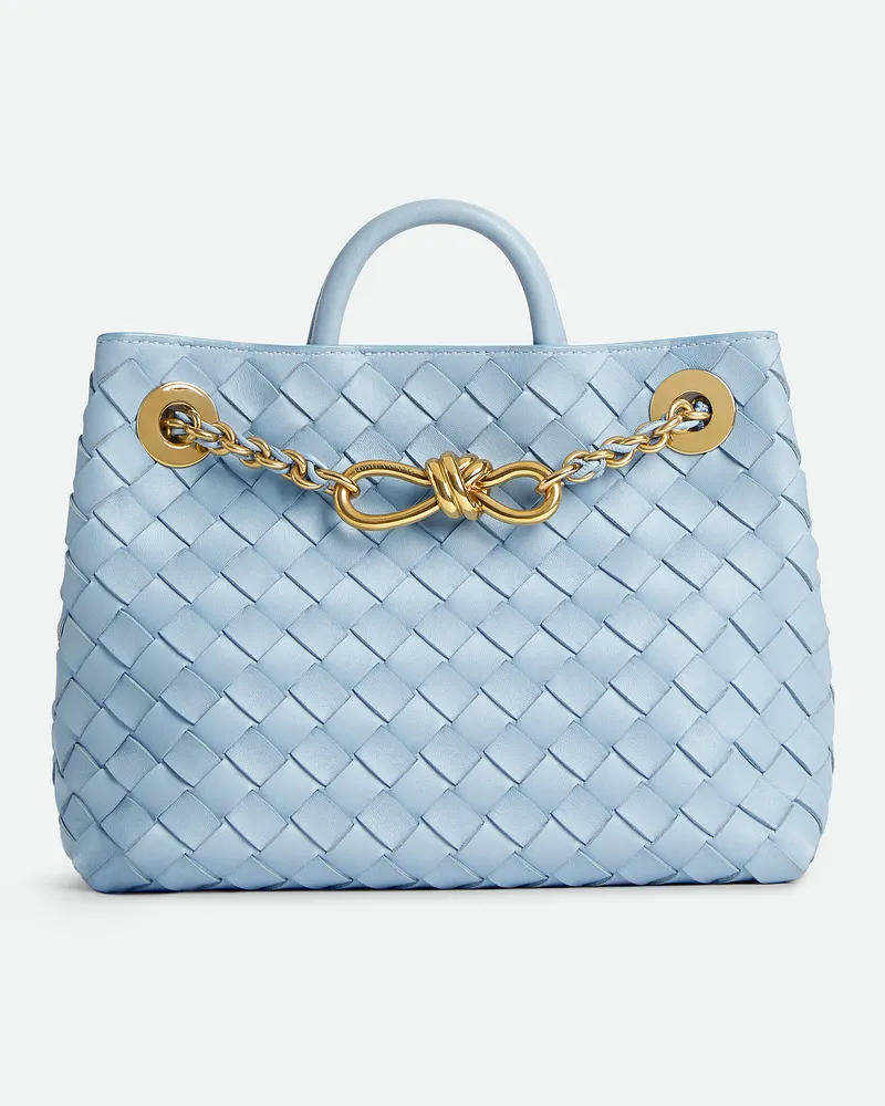 Bottega Veneta Kleine Andiamo Mit Kette Ice