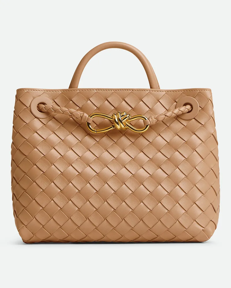 Bottega Veneta Kleine Andiamo Pale