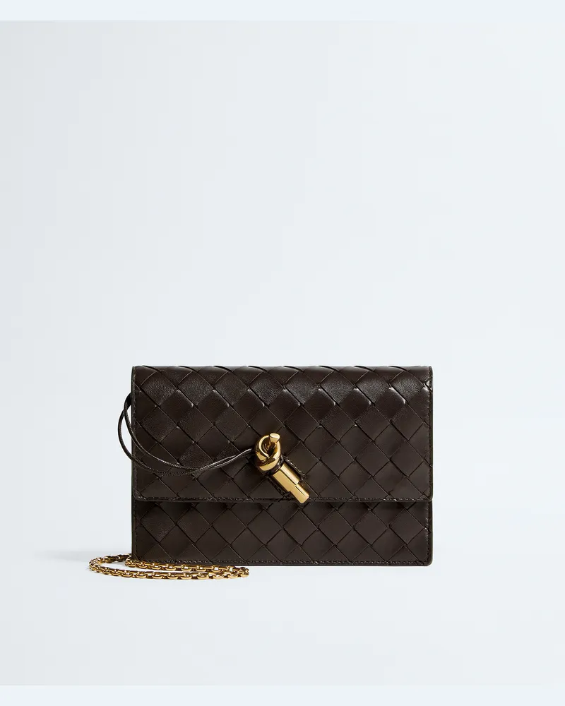 Bottega Veneta Andiamo Pouch Mit Kette - Braun - Damen Braun