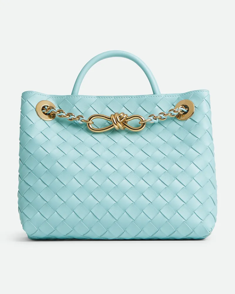 Bottega Veneta Kleine Andiamo Chain Zenith