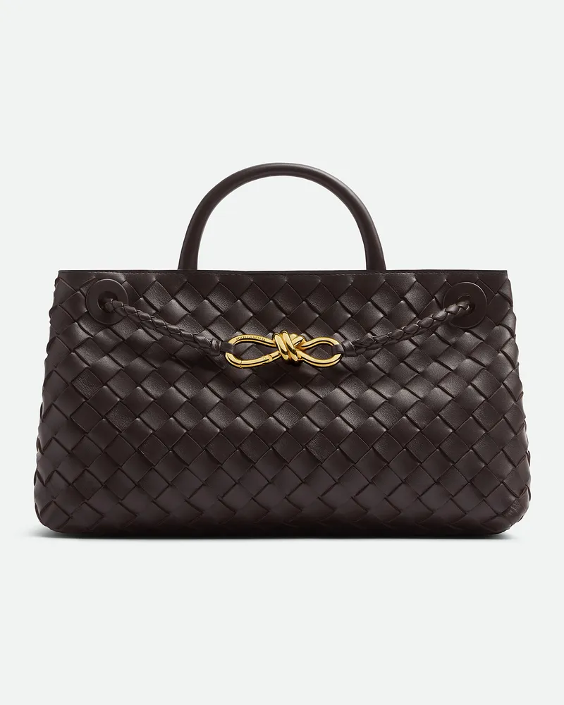 Bottega Veneta East-west Andiamo Fondant