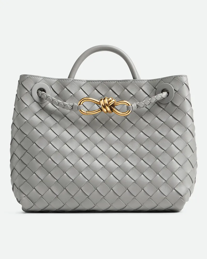 Bottega Veneta Kleine Andiamo Sterling