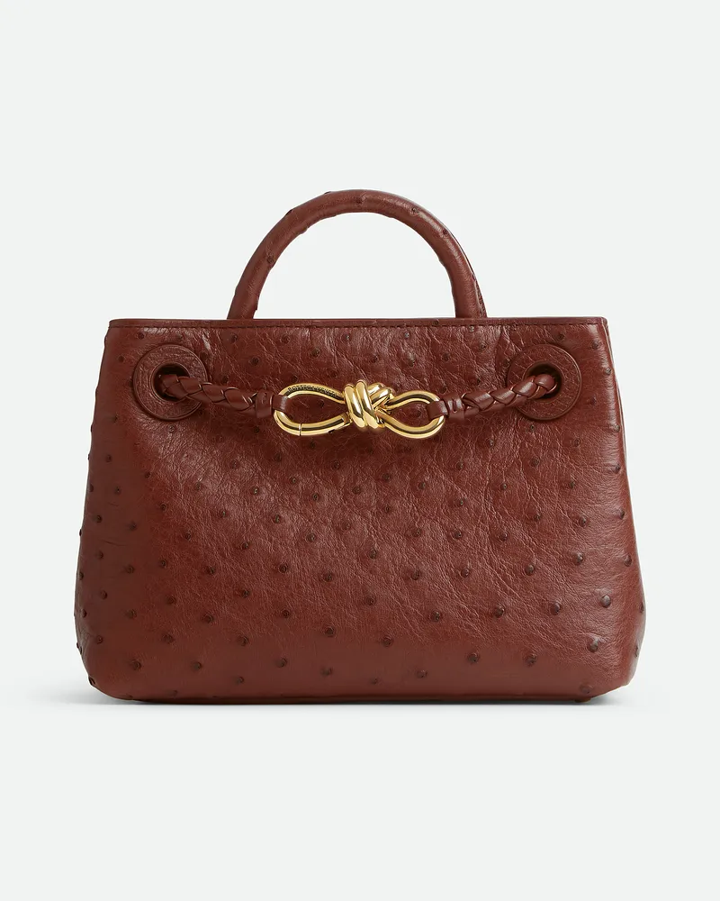Bottega Veneta Mini Andiamo Sapele
