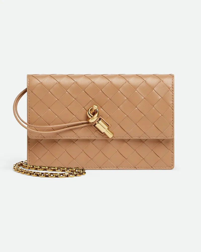 Bottega Veneta Andiamo Pouch Mit Kette Pale