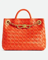 Bottega Veneta Kleine Andiamo Mit Kette Orange