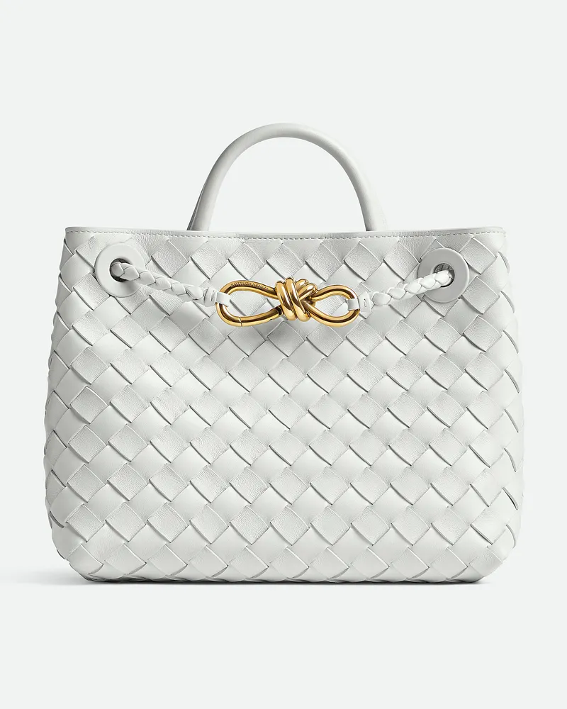 Bottega Veneta Kleine Andiamo Hoarfrost