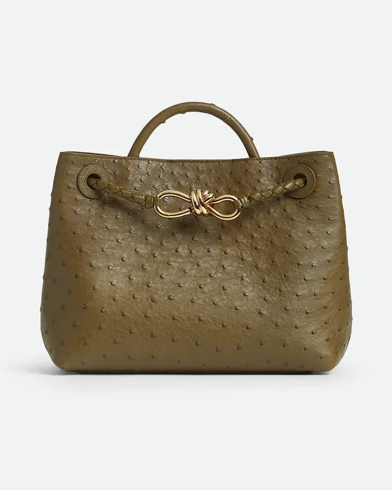 Bottega Veneta Kleine Andiamo Mud