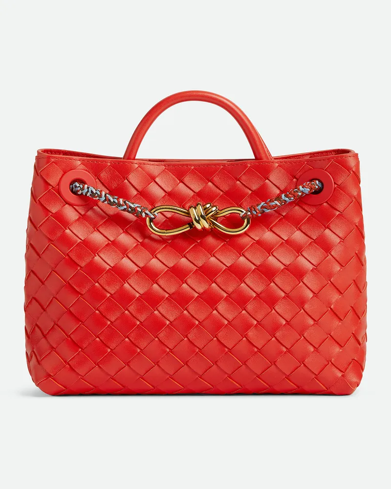 Bottega Veneta Kleine Andiamo Cherry