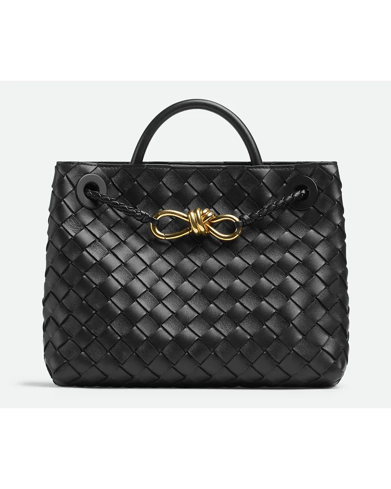 Bottega Veneta Kleine Andiamo Black