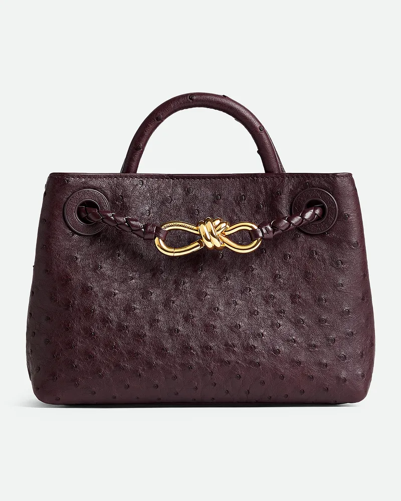 Bottega Veneta Mini Andiamo Dark