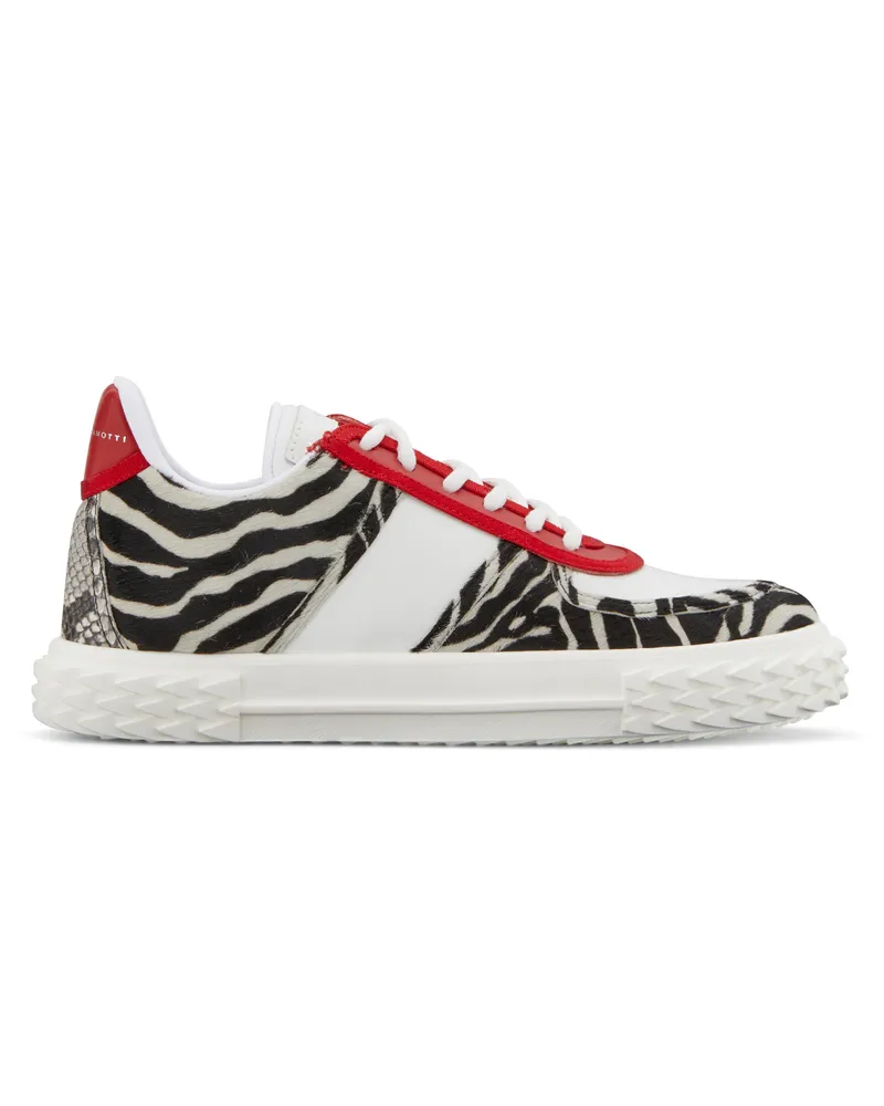 Giuseppe Zanotti BLABBER Low-top sneakers Multicolor